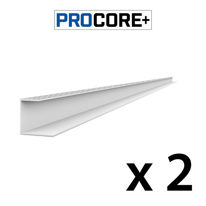 Pack de garnitures latérales en PVC en fibre de carbone argenté PROCORE+ de 8 pi 