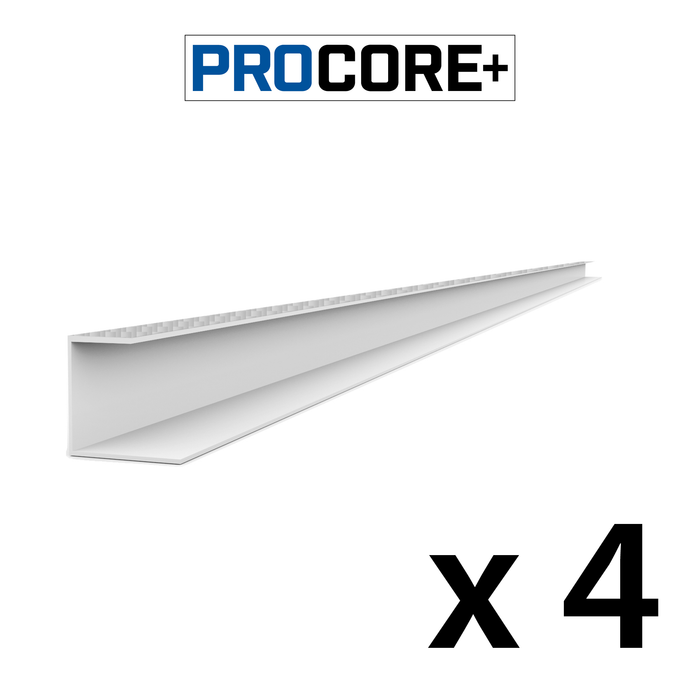 Pack de garnitures latérales en PVC en fibre de carbone argenté PROCORE+ de 8 pi 