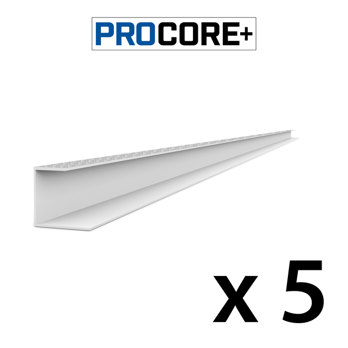 Pack de garnitures latérales en PVC en fibre de carbone argenté PROCORE+ de 8 pi 